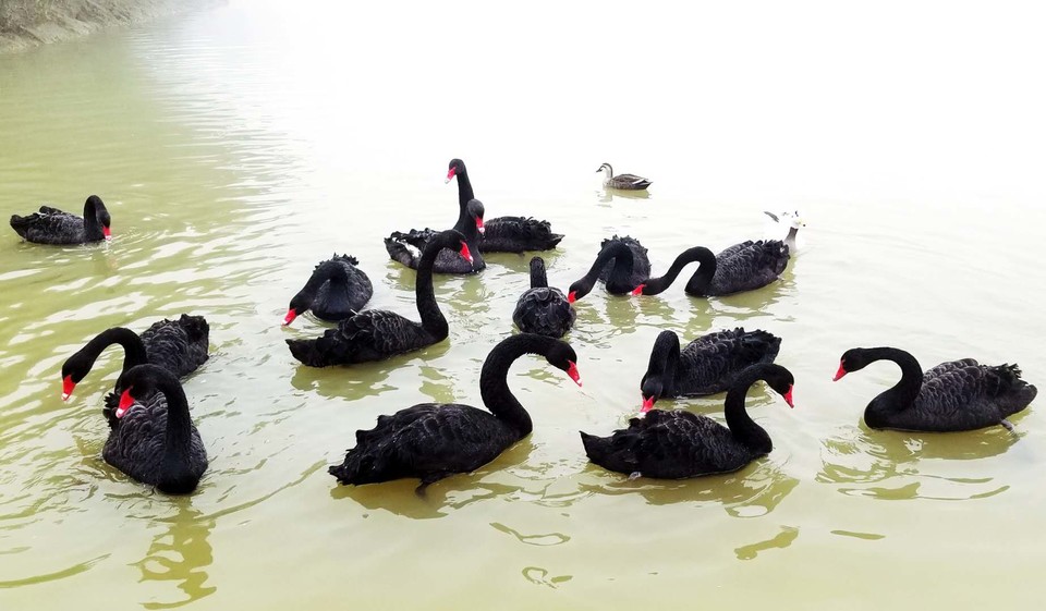 fl-_YC8_aeaQTIaxVe7h8a121NtBQZEMh54OyRXGYrtvOFEZl4H7AuWYHUDF662w