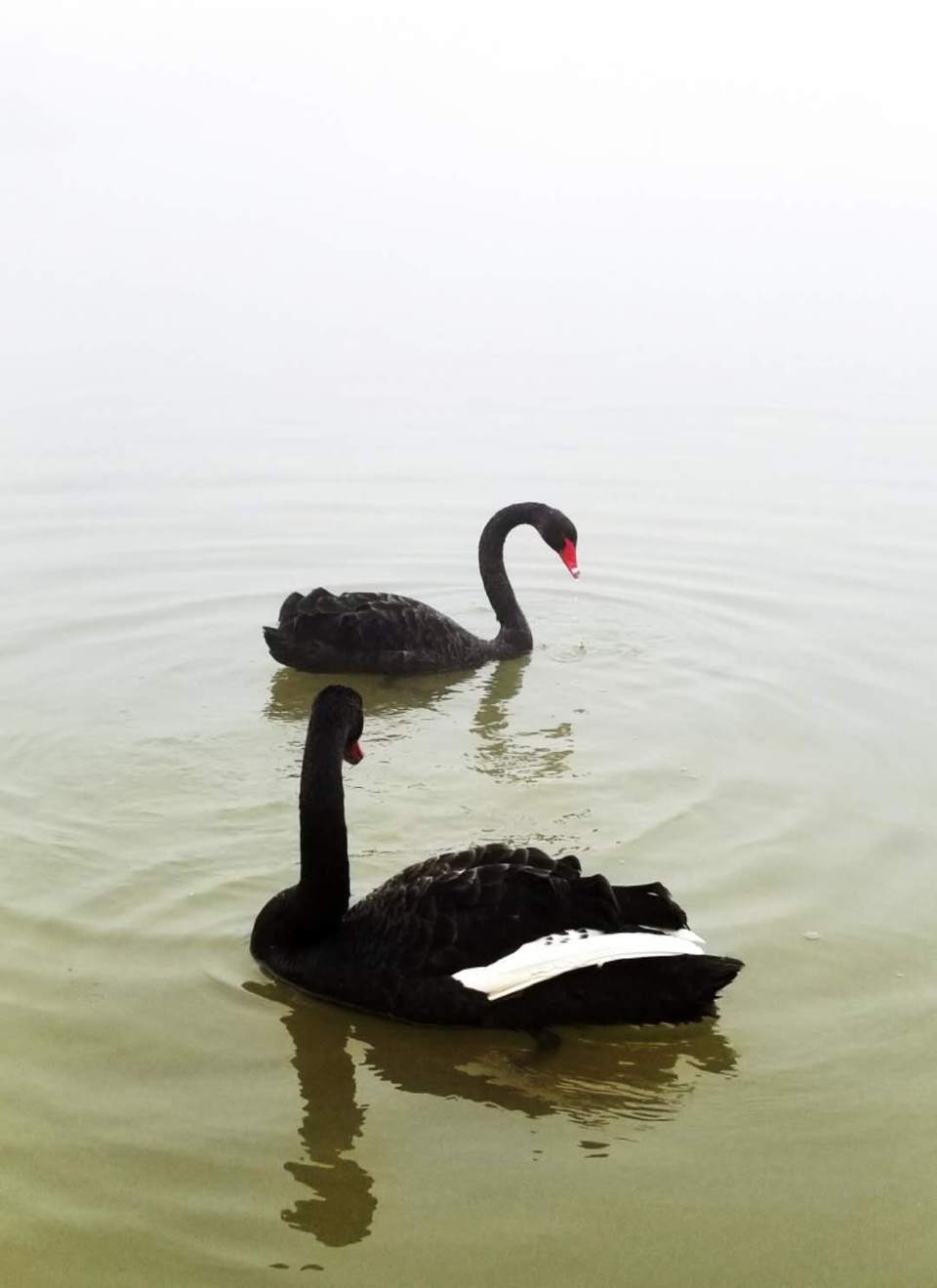 V1oSnFh3u71AtAO5_-PzivMY2Y7TyniGN7Outd2tflXm6zD5o_GjyT0AuOAA5uJj