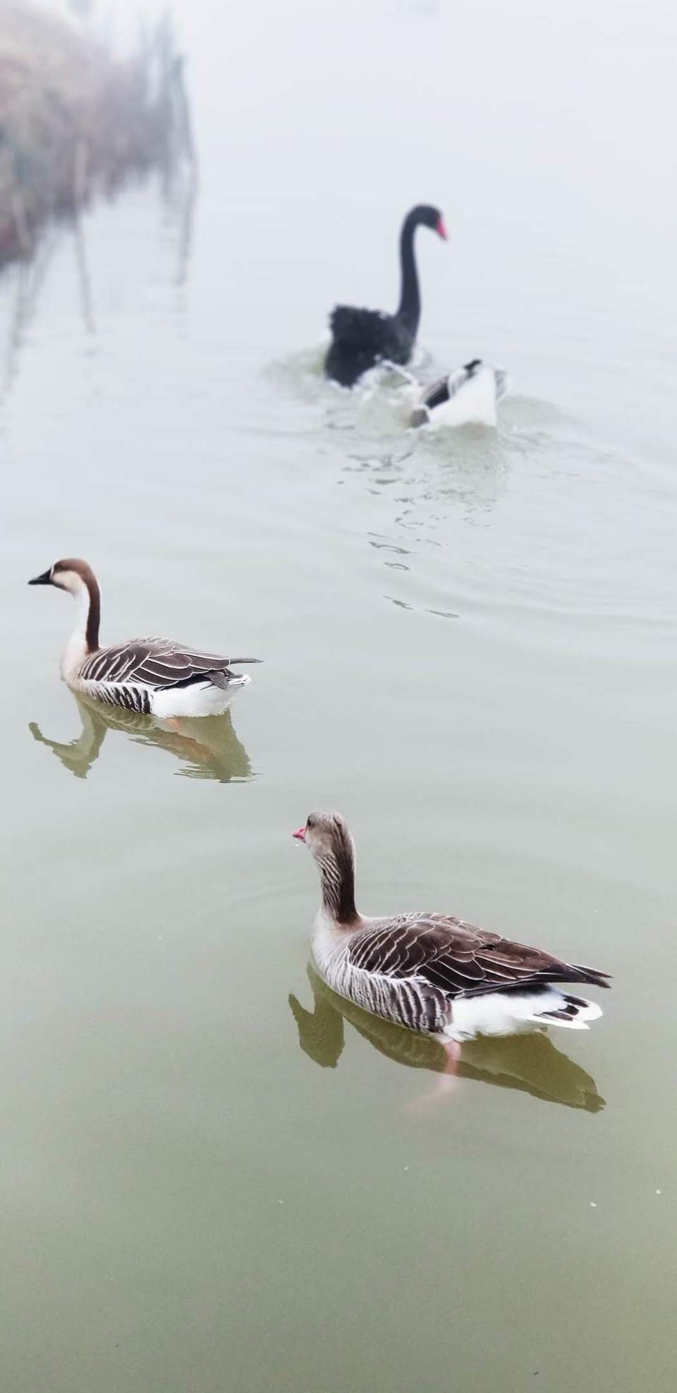 0Ctm7zQTdk1Zl1TS_5jo9SNCBRFtfbDg7cqSb8QKHJ92NZxRSd-fxGEb0gGvNU_j