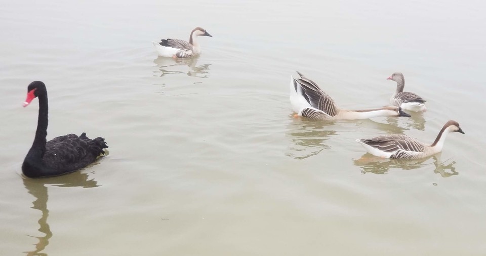 6G1K84rsok09DRQ-UBaaG1IZQWel6M6xwikdbPPOxJAW-jE2XluVP-VF3jR2PLWP