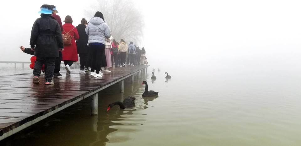 K72UnfSbcxKdgzFTa4kejypROCeGkEHmo0woTAvxdjH9s-pQNZ20tFxNpLFHvDVO