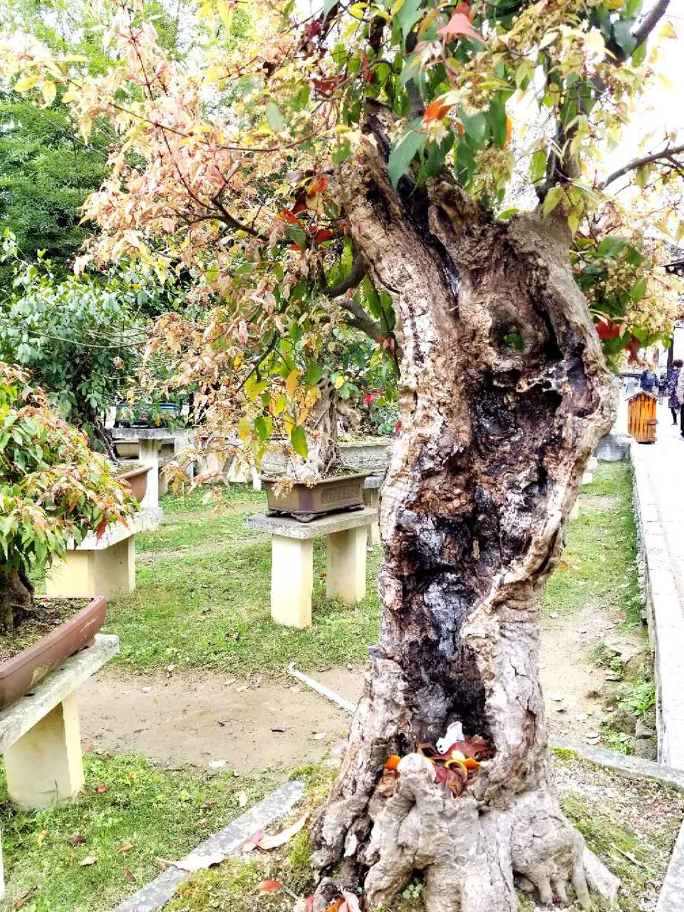 i4odPxqK_61JJyhFPvskDdL2XjsBXKLAuVcw1LiPPb2PouephGvltdjuXzAe611k