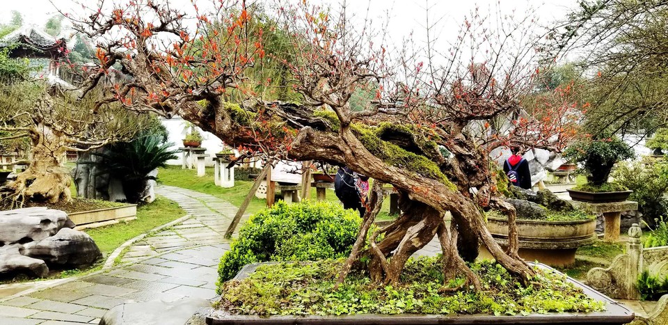 pKT6o9V9VeLRkwLY5L84DPFjJbTq9sQY9zVdVNlTcSZdQnubk2mChjfvjV0rJNsF