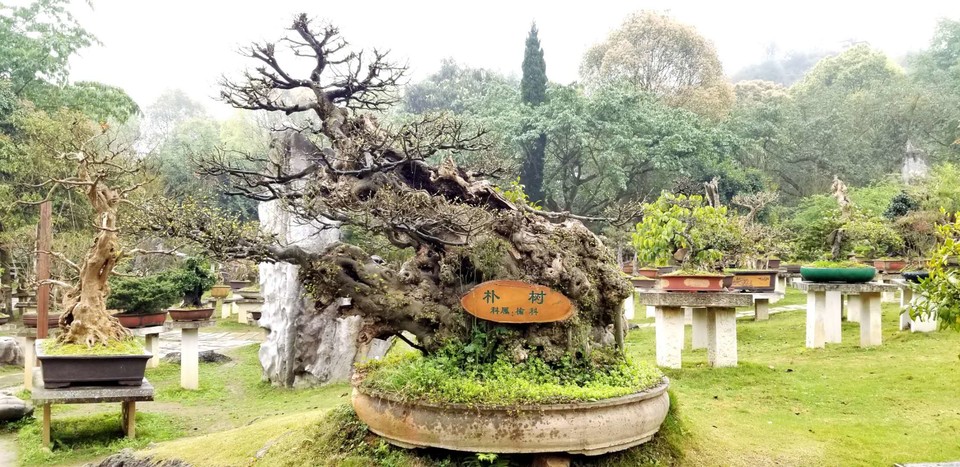 auV_YgjjRvTLAmuX4RsLs83btN3mBjiges_8esfw4Efu5EiAxzQ8Q1tFUaIYDALg