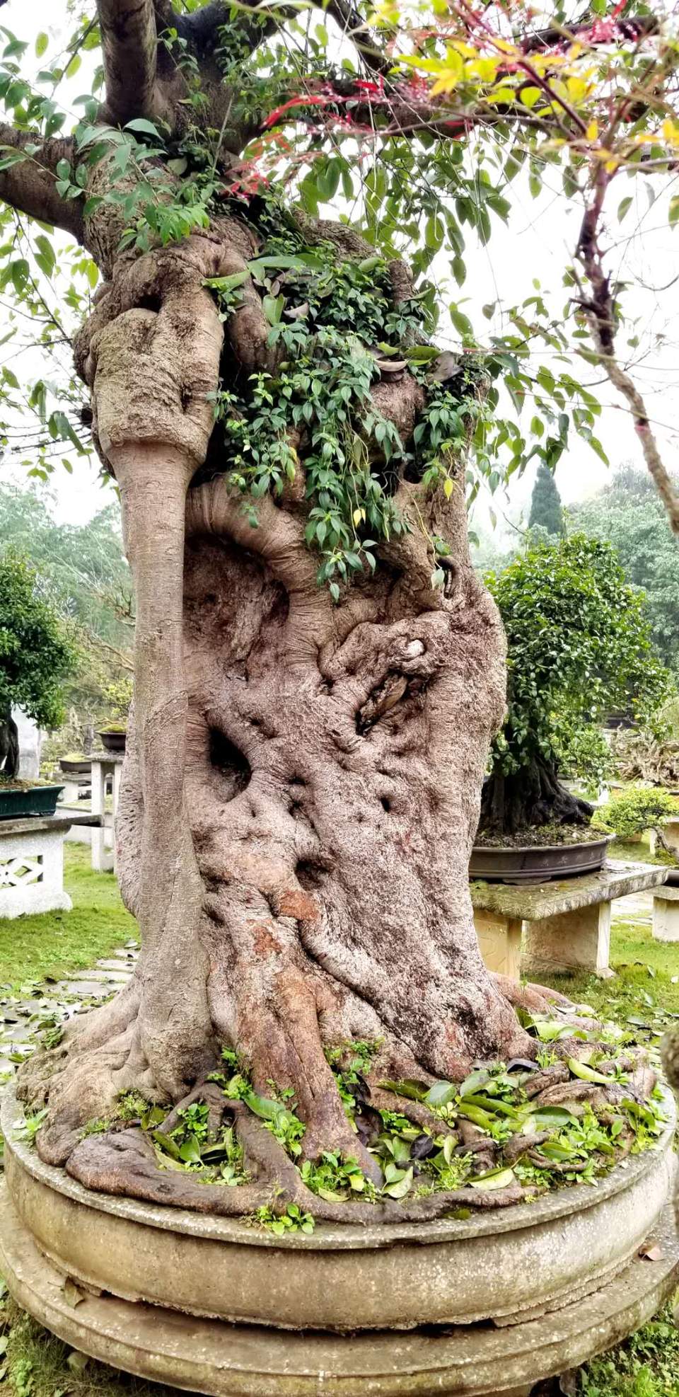 bu_u6FdhsyCx01iTpKhCvc7HL9xuwYZoBpN2YDfl-UYuUC4ksd3Z6__ZIG0zNgj2