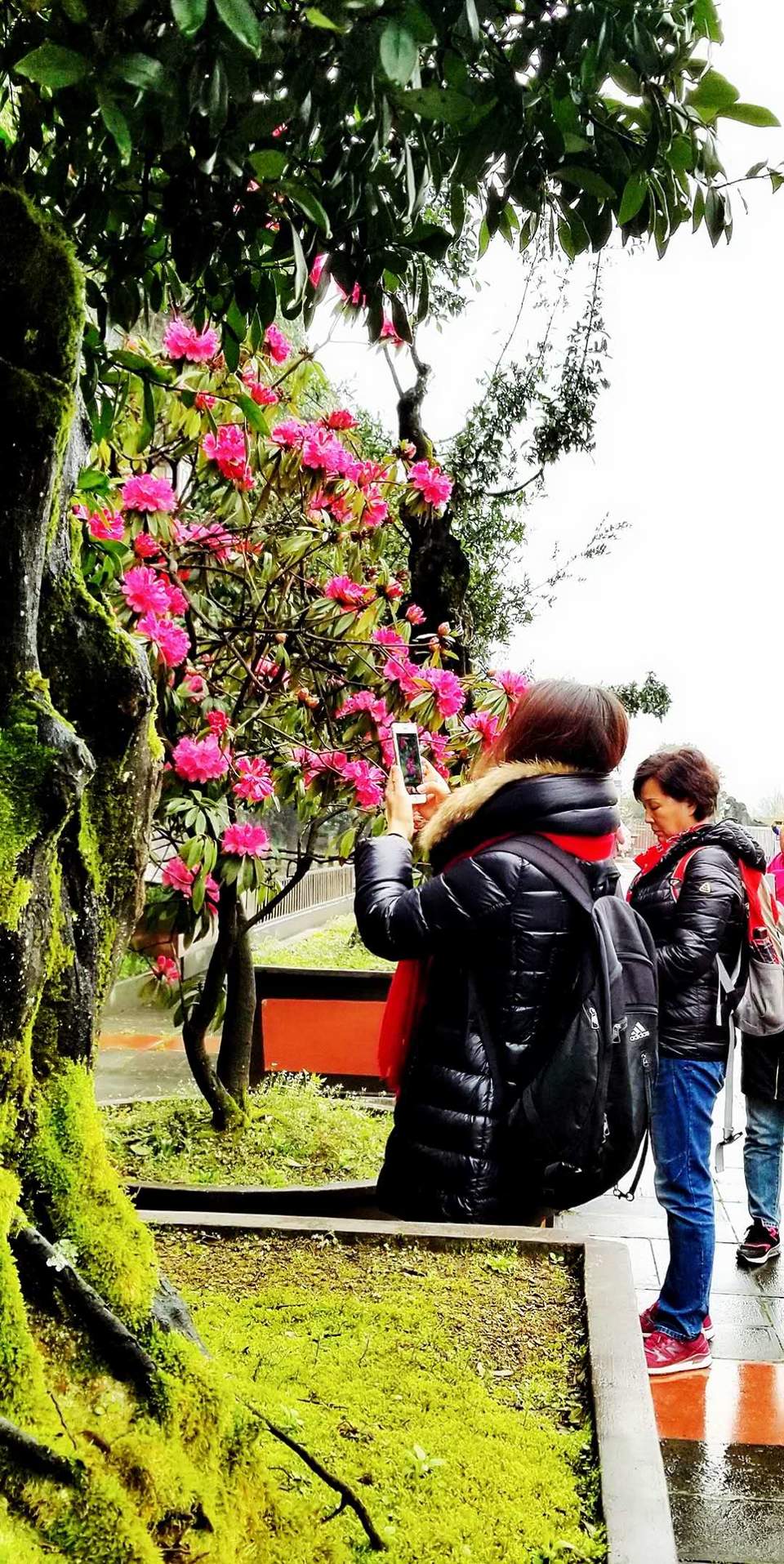 lzVTzF5T48Oe95eGZkJeul2s38lMy3QY7Dcaa2F3BZwlpiqPyo4EdVAB1rqa0YjU