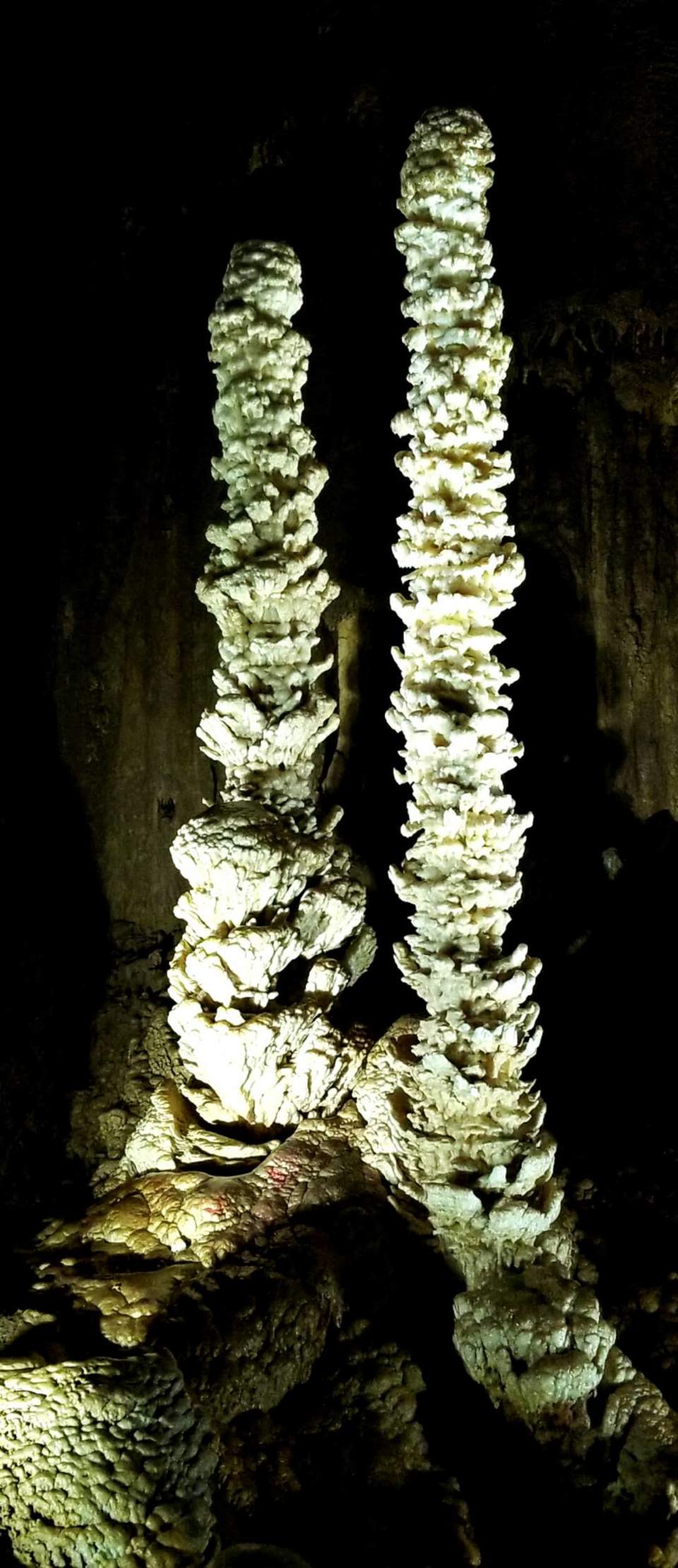 t28rVq7-GYRzxnEfvVRngZMQgkKLXLu8iszH0kEWZ1d84uHk8bAqJ-0IhgxYu9Mb