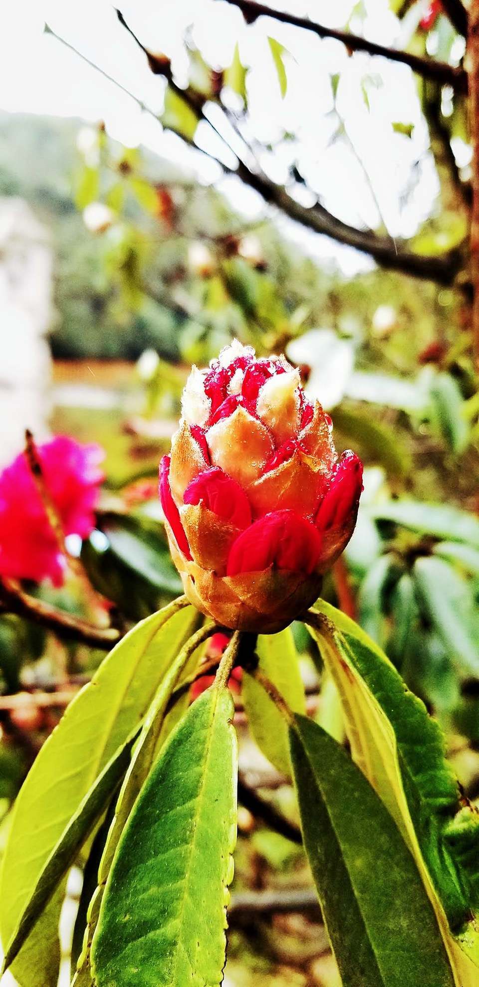 YnqYIar_LE3oZ9YndXKBq0IWVSGdCa_8QhnYN61SSOIlBreggkwj-Gm4uGGOj_oq