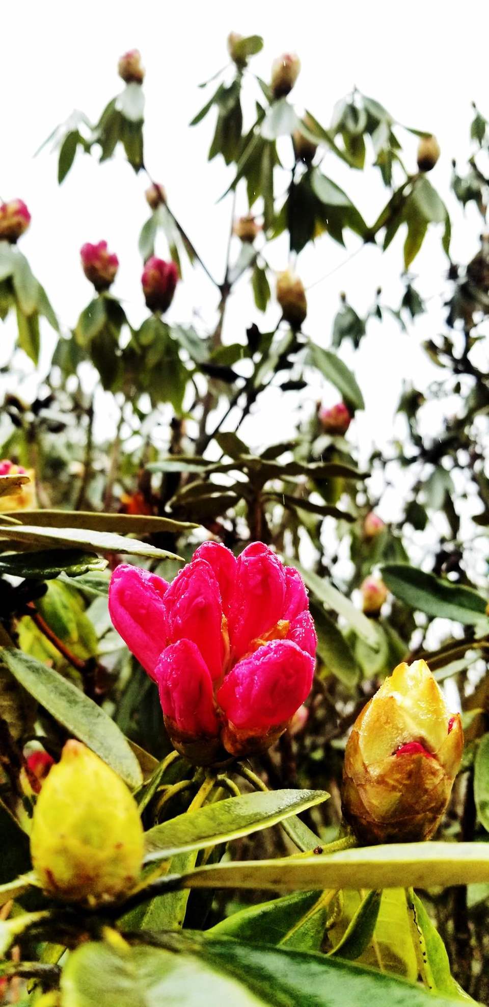 4p6Evxamdpx02ZeEn7VBsdcm81i3AUVcr7r48CMDORNRKN1p-qVeBlZh6NWLfxf-