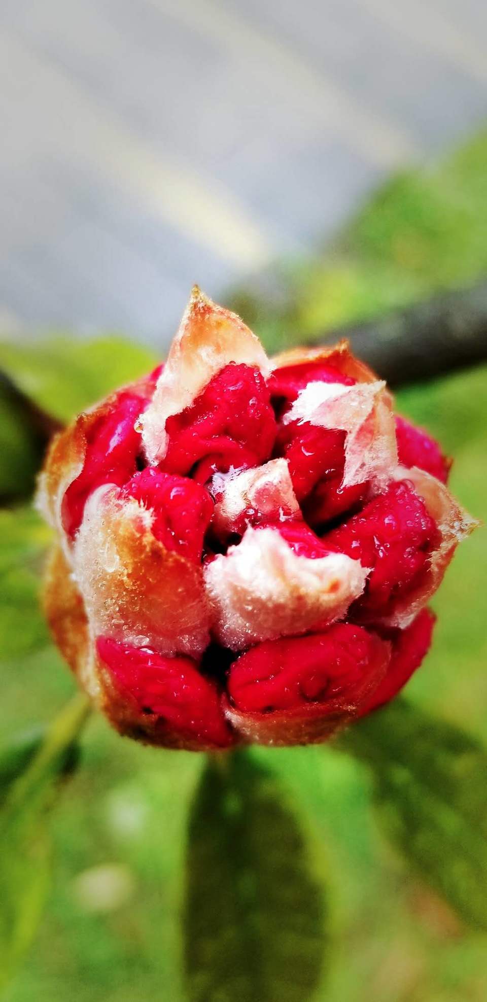 JpTciBFrgX9t1vUgAA5ZythMtk290N4vHgW9hIH3NryaYhVduaX5XyaHoqp7__Cv