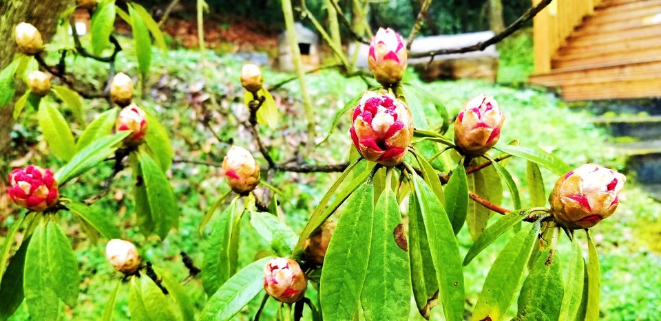 oKzggZD3DWgFnSye6d-nerN-tx_JhfMz9t91Iq6IX-gg8JYcWUptLikAeKqxrpQA