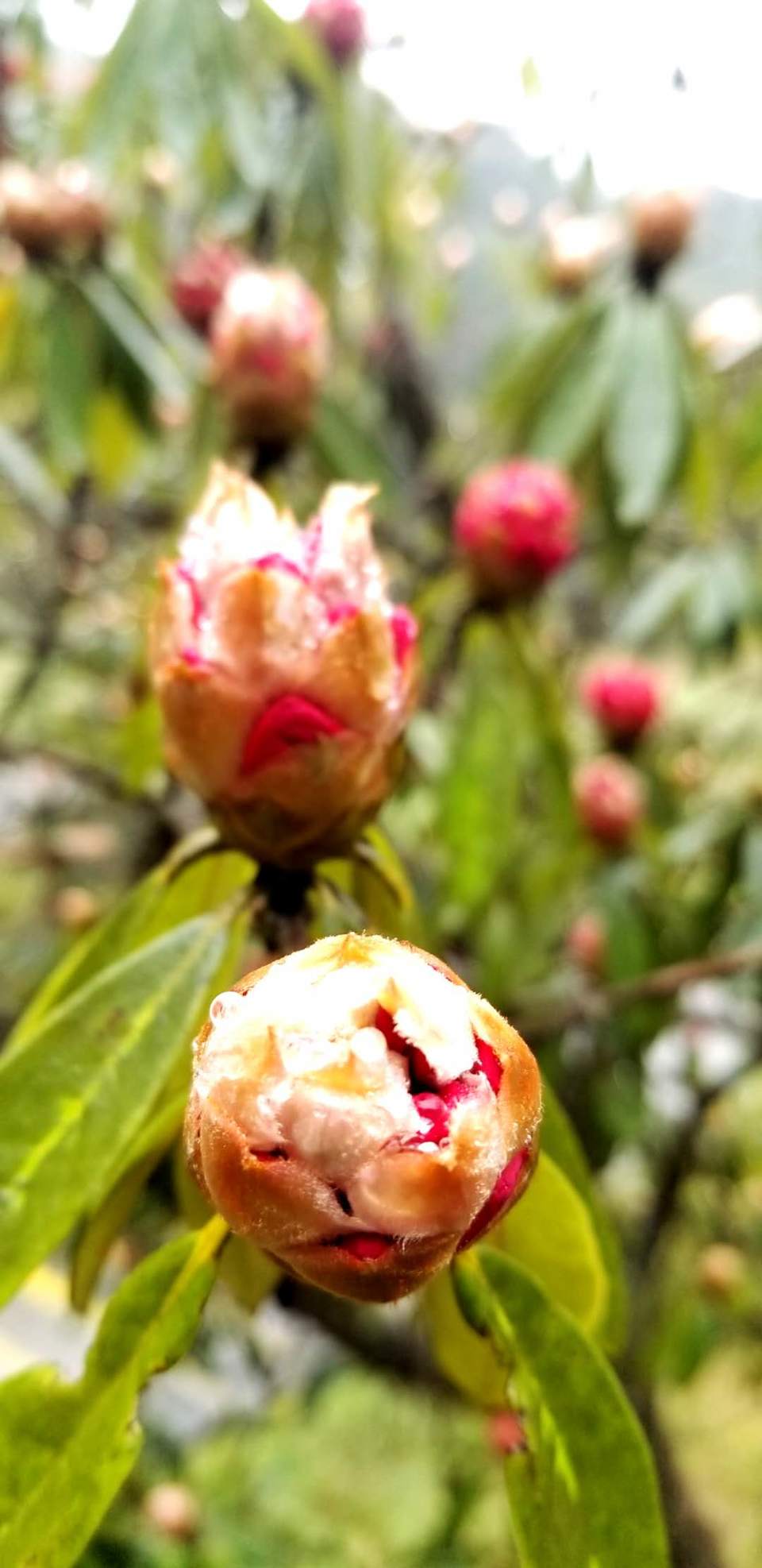 QfvyxCYG0DyJw6tU0xicwMtZ4c5gHzwYiK0TAQt1GZyUTgZGbd-M4JxU_wCcAnhJ