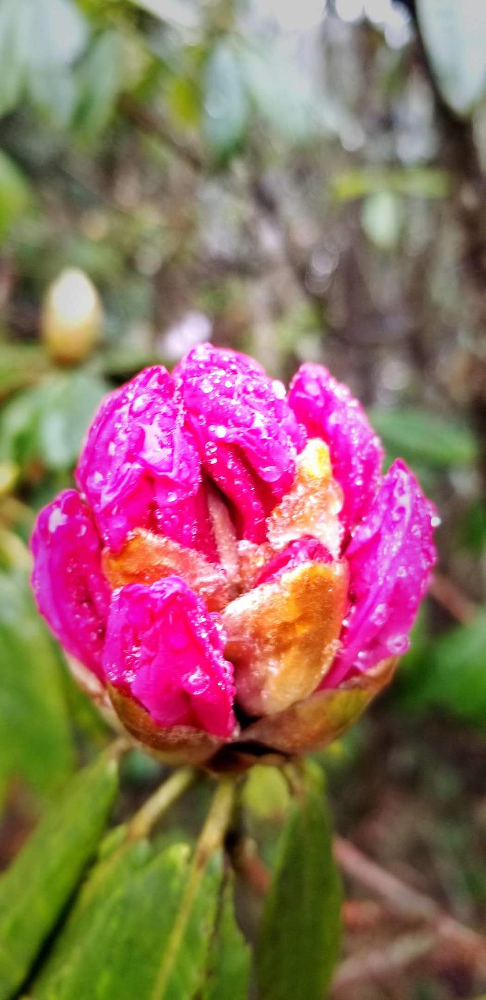 _19R_Rs831Xo8ajiKARbvjppDJN6xlu7mSEc6yu9hM-Yh9jPrDvHyDkOaMOA8wLq