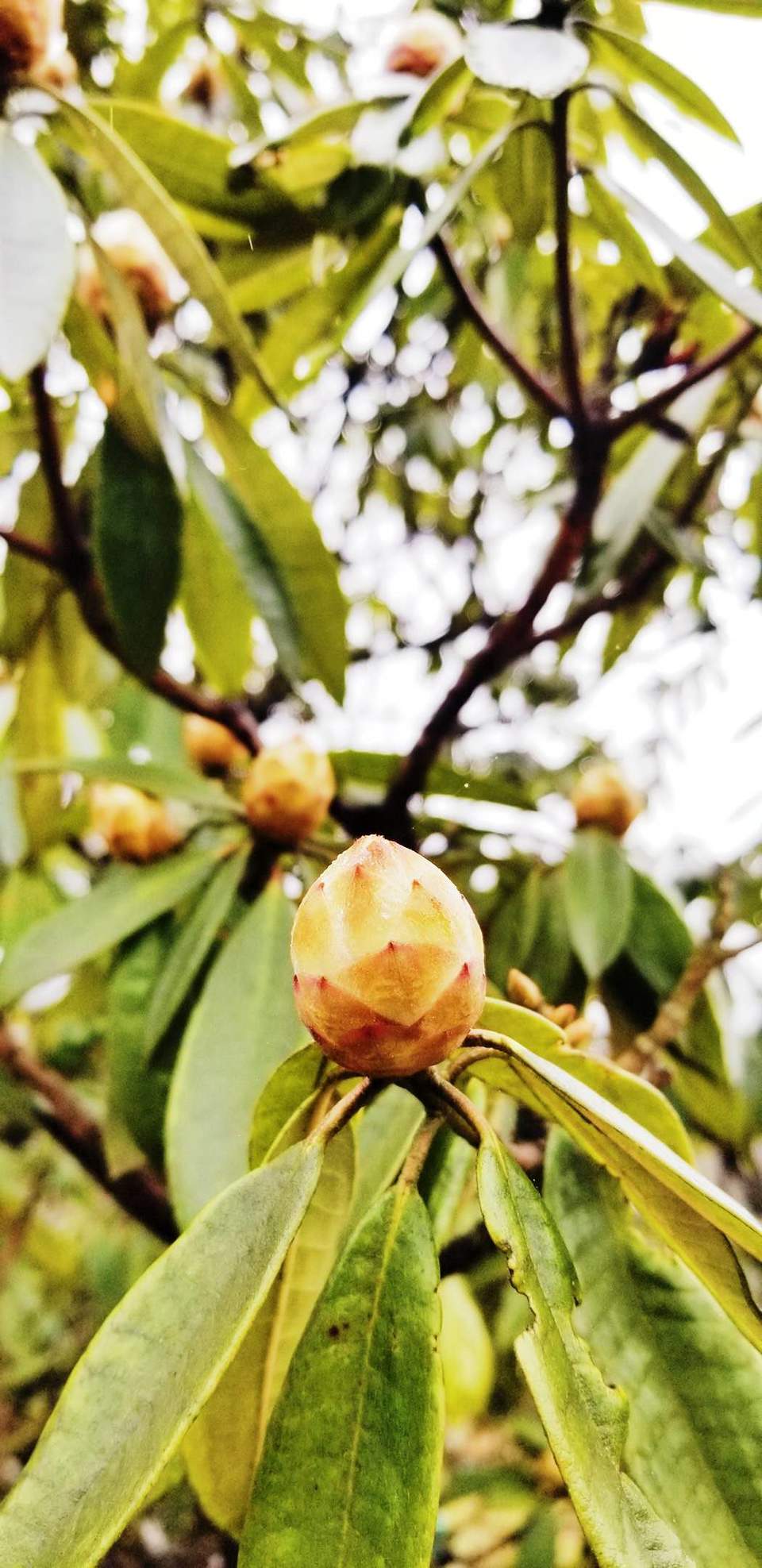 d-fa0vCfLCDjb_8US3IIY_6I63x1oyOdgio3VxnyiAM0z7uhj6QecbluZ-m5PNbA