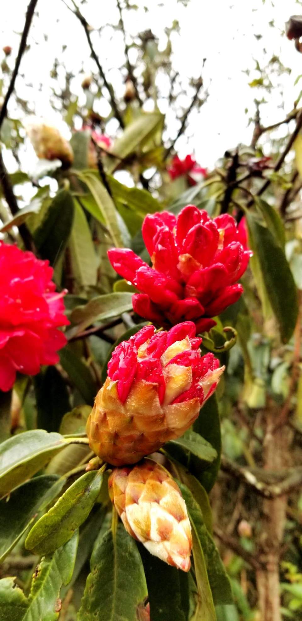 UkhxectX94skT0DxqYUNGGvNxhXb6Tow-ksi7nYnSGGHuaRabBU0jwMYJseAgKZr