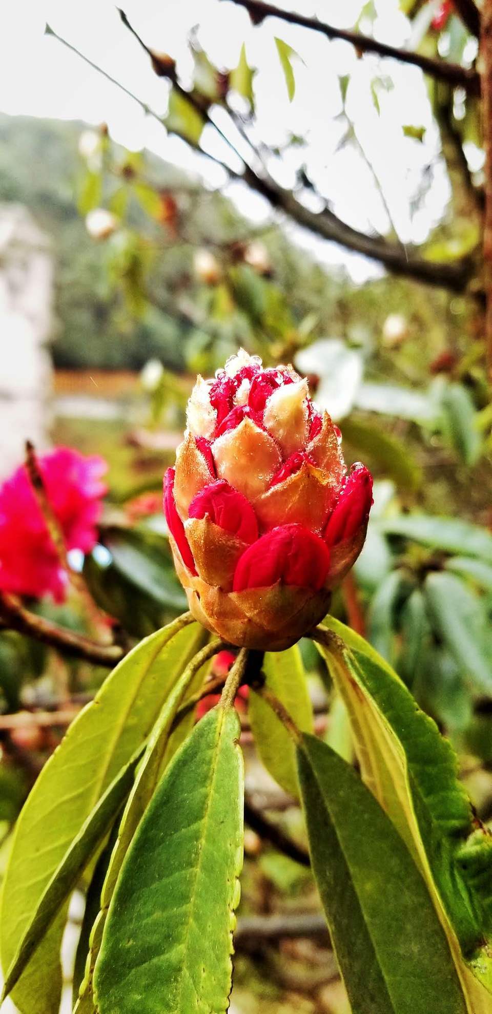 RmLJ0_3pvSBbaNXclzDTsHwU7UZYo-mi3Wh7e1t4w-zcl55zx74vodgt6tM-zasr