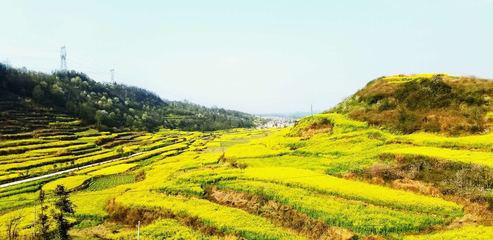 f617J_TftWXID72XgSFwHJ2H4FnCtcKRD7Od1nxZaGDQnRPcR6zeVtb1UvKsPCj7