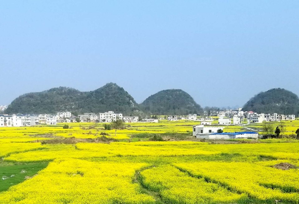 VFr0zpKOA_rZx8tYT4P_jk054uEE239J1O0PuGL1V34ugdDV6uim7Bf0Un2zhZVi