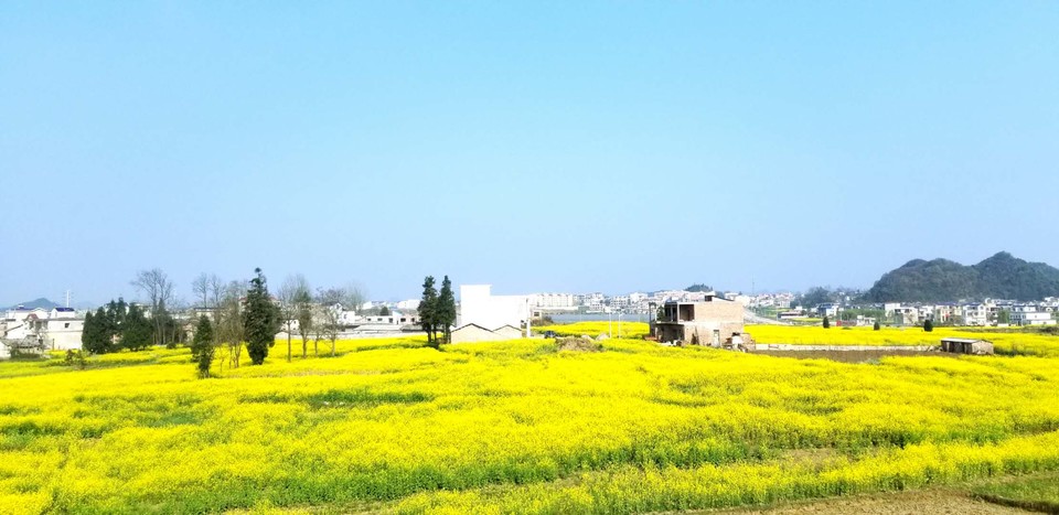 UEdMZFiNfi_L5NTVrx4e5cgiS0CbxJNaduD_jA85RV9eRbFeXhXDQJzNd8PUO36f