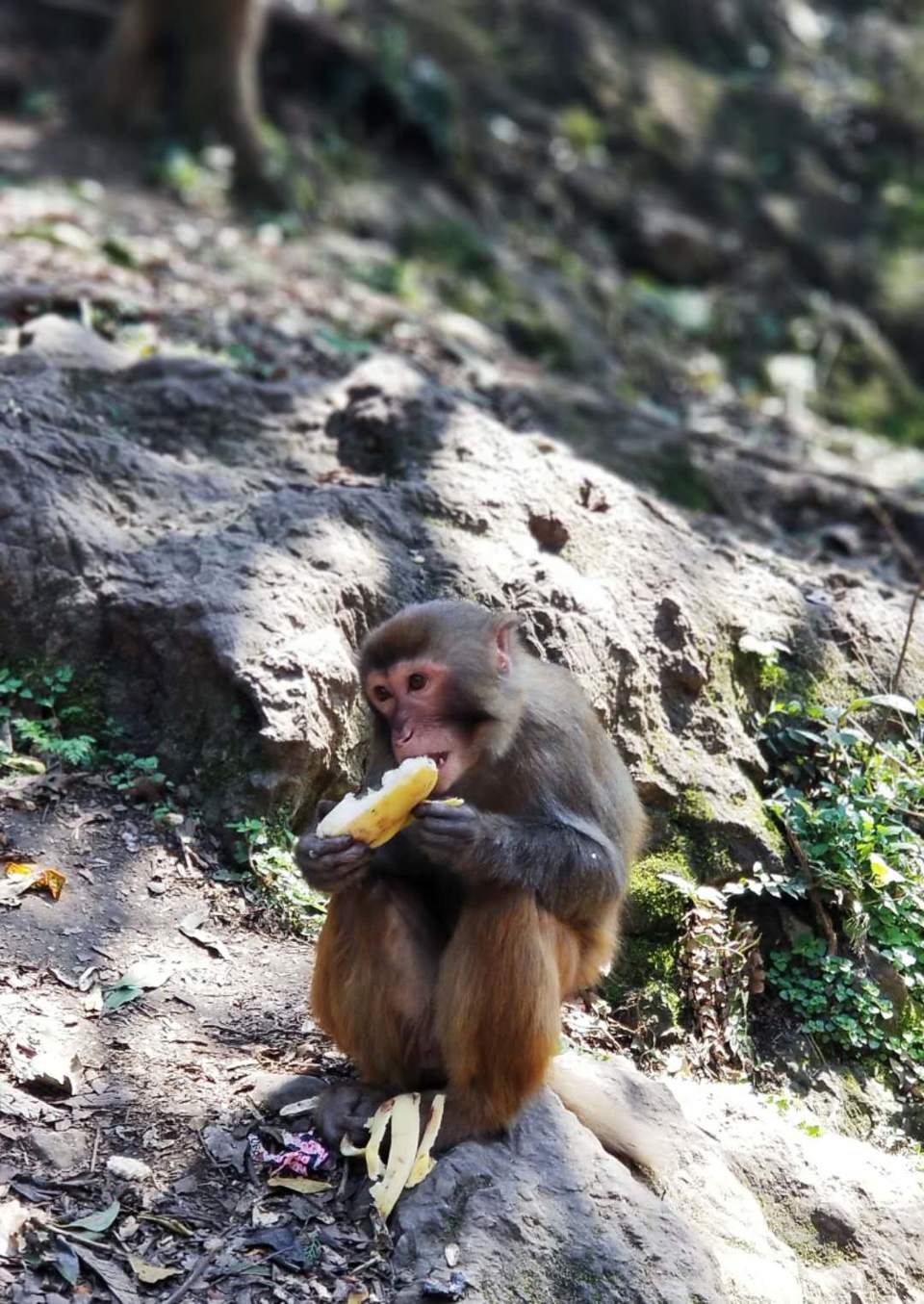 JZlhfFcuL0E2KcFvnouVqgP4-gebEPzXXNORF8M2ykc5bYjq6H-fFyWG0SfSyOoO