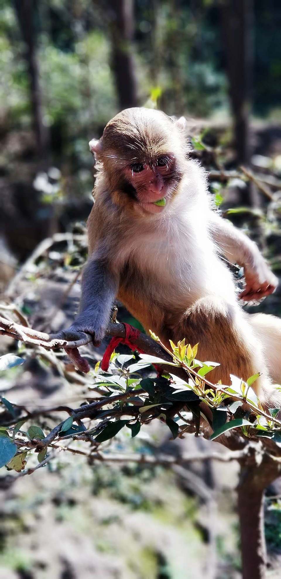 IyxQTcZhBi51wR1RmERupIiw_hehscvyHOExN7moBXDKtlveH9Ctsp6nFVWnTC-8