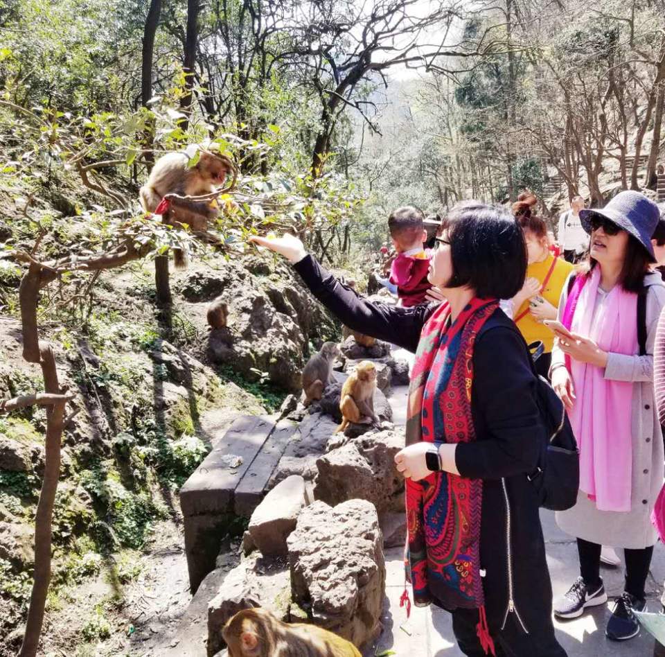 -yBhbbr76Cdxp3D1zVQpPyXWK0QpDBqAuwHVa_633nSif50KVmrBpfkss1QYZOUA