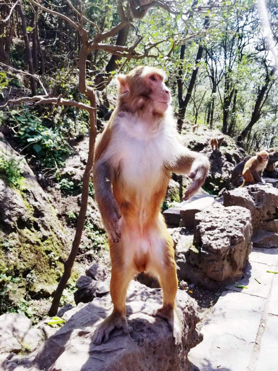 JPhqqUTSlG4S1ujt0cPht-0LZ7B4eUv--Oph2vWlgT3wdBtUR1fq3ADJy7KUpBZ6