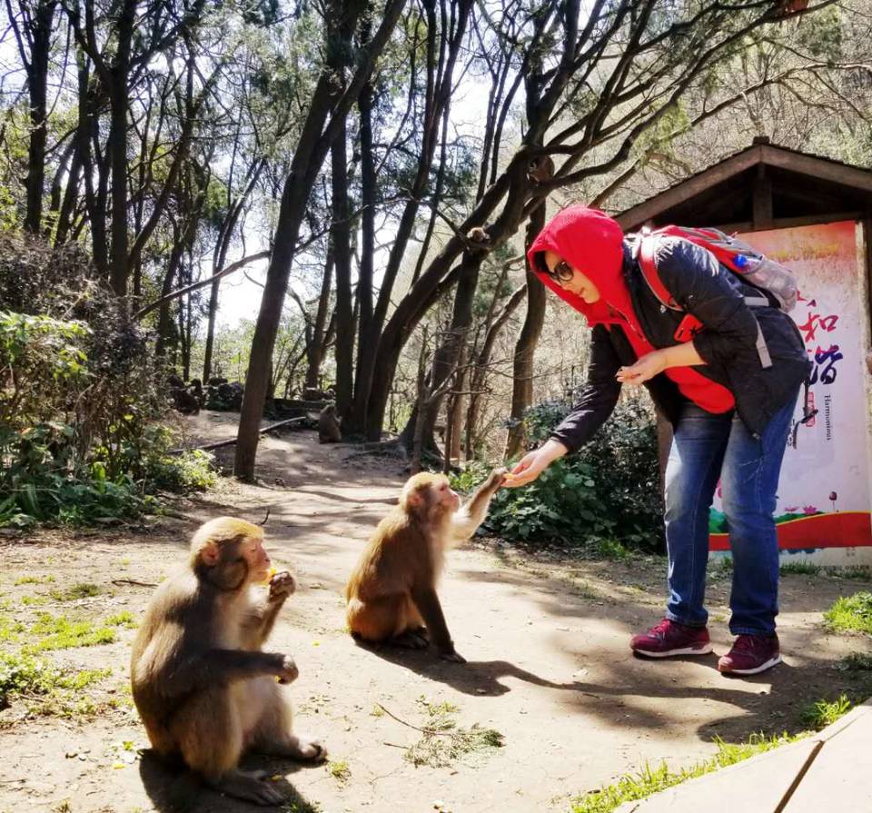 IJBAzUncTbN4P-eVp6aZkA-4qzoYfMYedY3MrvDZaBAp3rtoU912vHNrmnqpIbYK