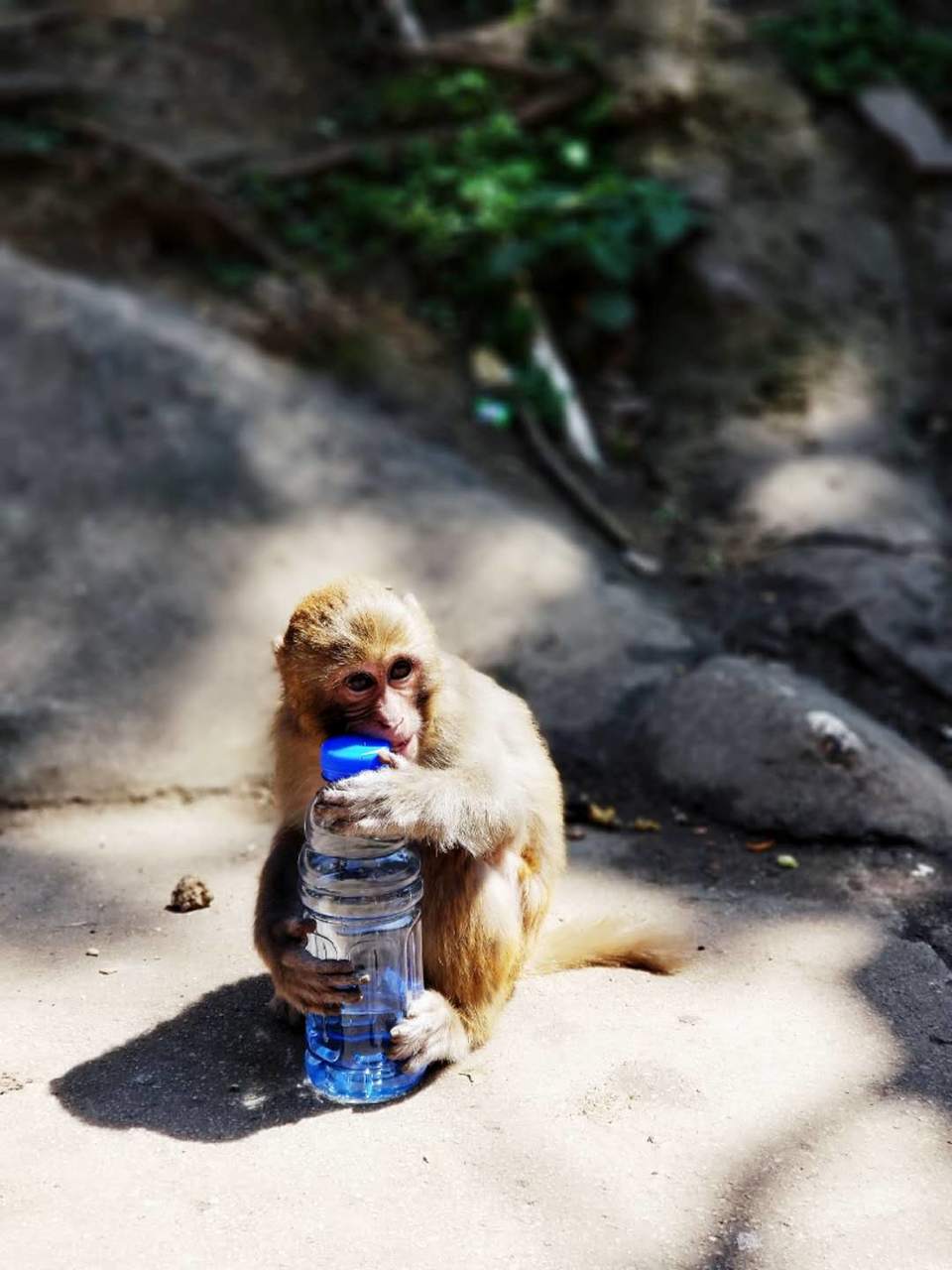 QIqZPJ8k0a95vMMlUge-RBCyAL8TYGBNQN1iOoH-m669bcZrsf3QD2tkcLjJxKsC