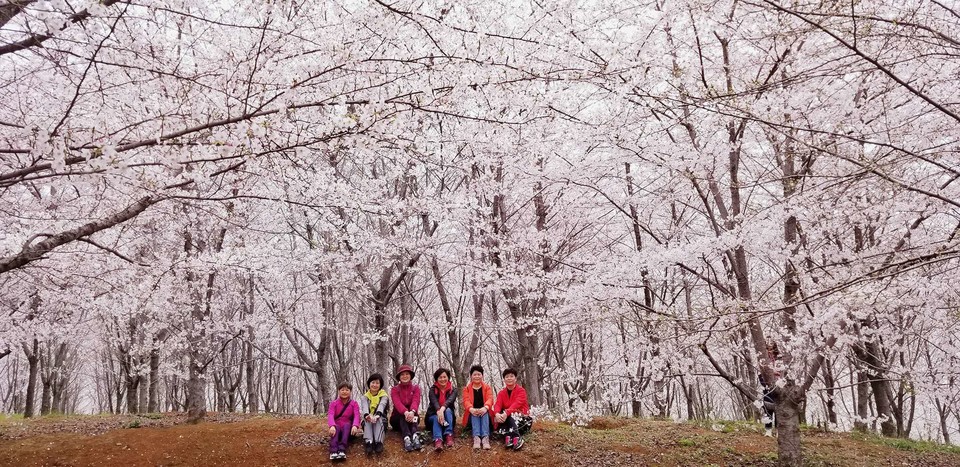 _y-okdhGpPU1nEBX8bMJDx3ZAl0hl9CcdJeOLV9hnwtojcOeug35f-_-G4p6md17