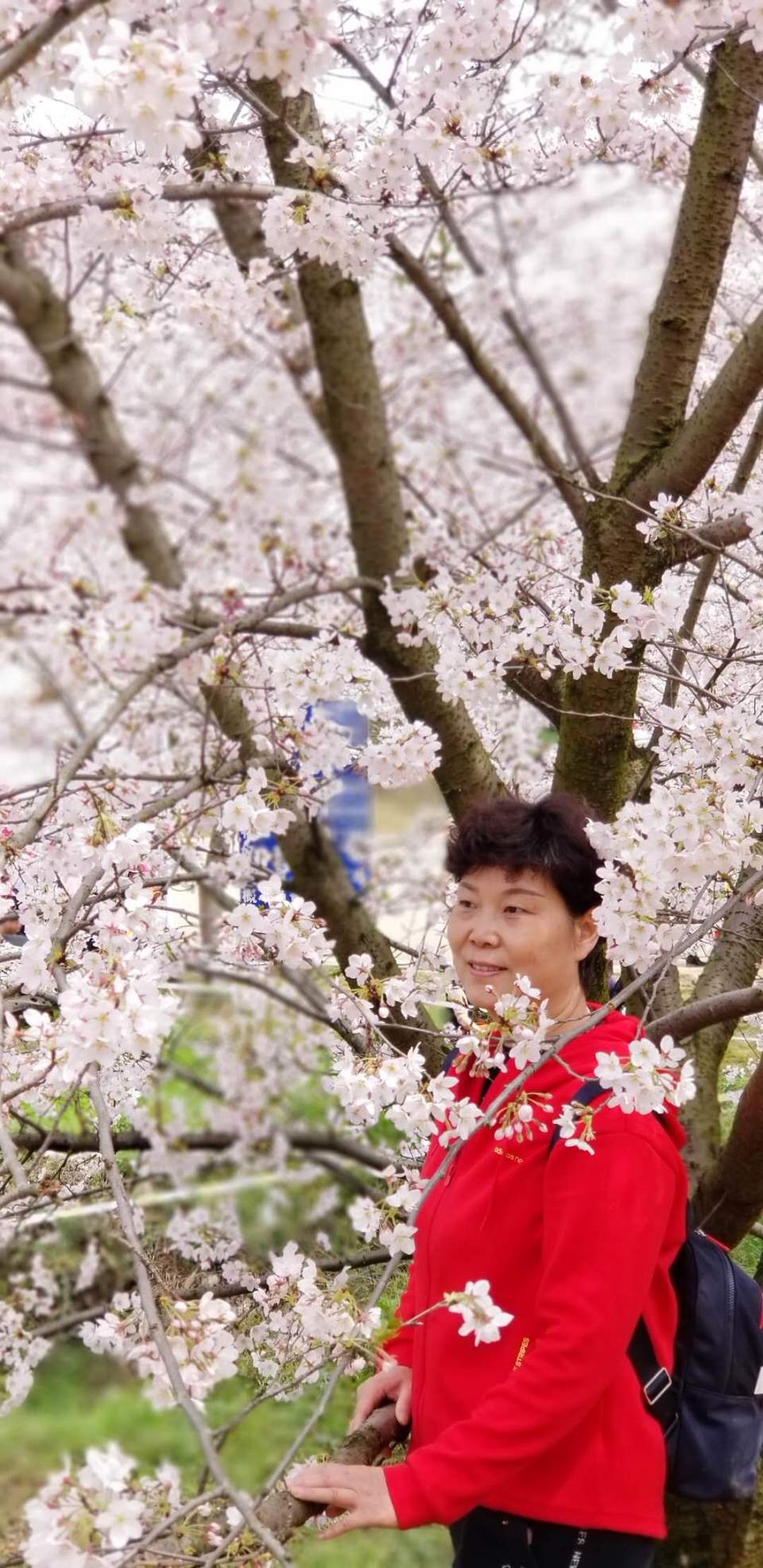 D6idQ4885XLTgPH3xZDoJnLMzVUPQkIU-e8vIw2Hrle3X69aQ12X7XFdbvREAYXd