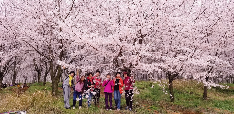 pQvdYdWGL-cFON92araT0lTGerSJzKVy_loxtGycmP8O6E8-ZL2iUv5E8C335N8K