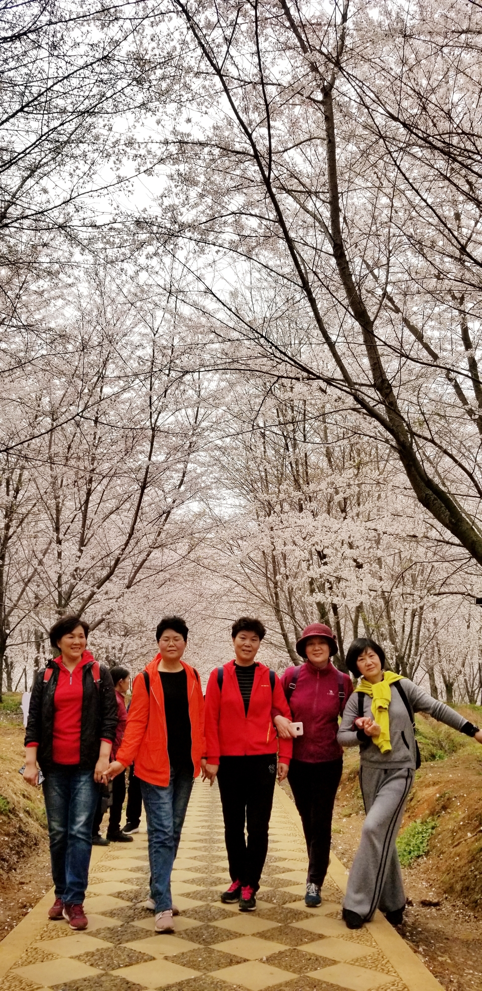 yuY2k4LMjs6LCbG0LCQxOjJnneOGihVQJNqd3sQrO2nS_i2XgKYBkHlbXSDCP87K