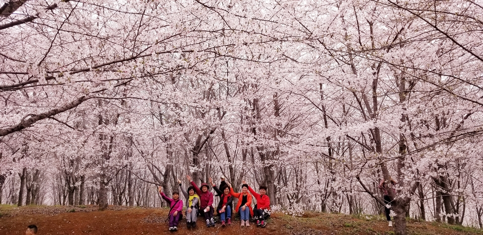 g2J0SkBXKJrctka5Bmf07bace4Gf7Svc1Zz5PHFLL0PGgH0VNlZ9GvzbquwtDWzH