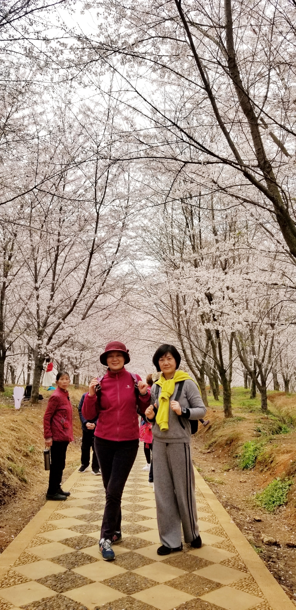 b9xDjoGPPY0_XUn8ScquuUXcE4Gjp6Z4iFcqz-KPgKvg8G66VHjkISj401qRdZnd