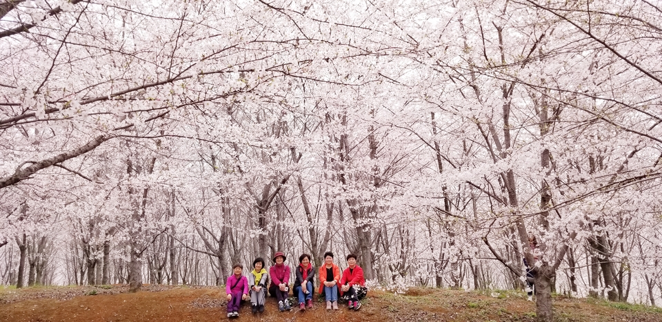 OuGxz9oxa6MDqBXQfTchdmzDI01LdaNXbVv-PjxMtTJBvoh_awH_mVJDuCBzg9-A