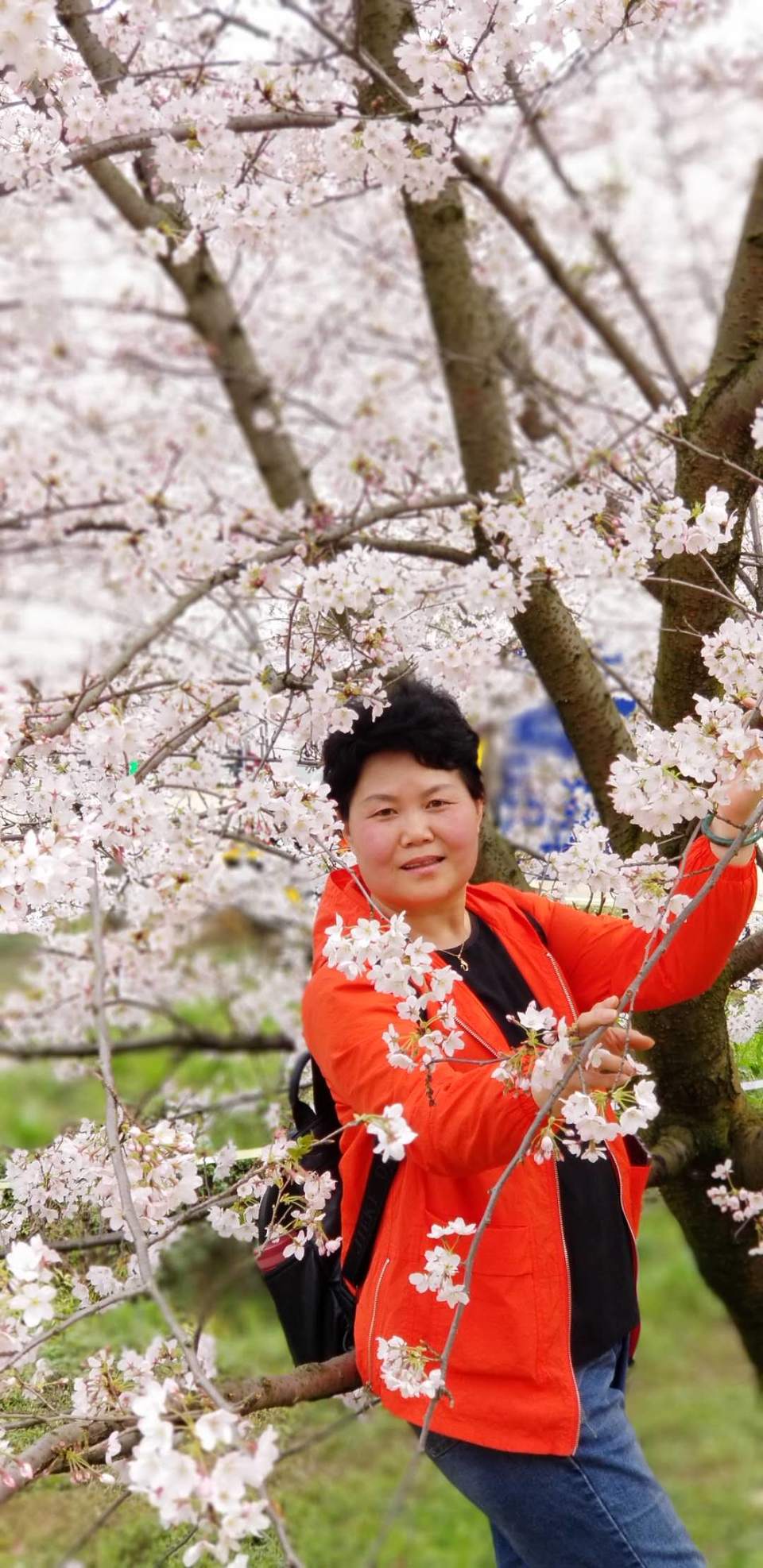 8Go-1Gonc5Olxuq-xEuUPlCClnMWf9RWN3UzQmpQF3XNuHZoC8P98C8pi8gcFX3i