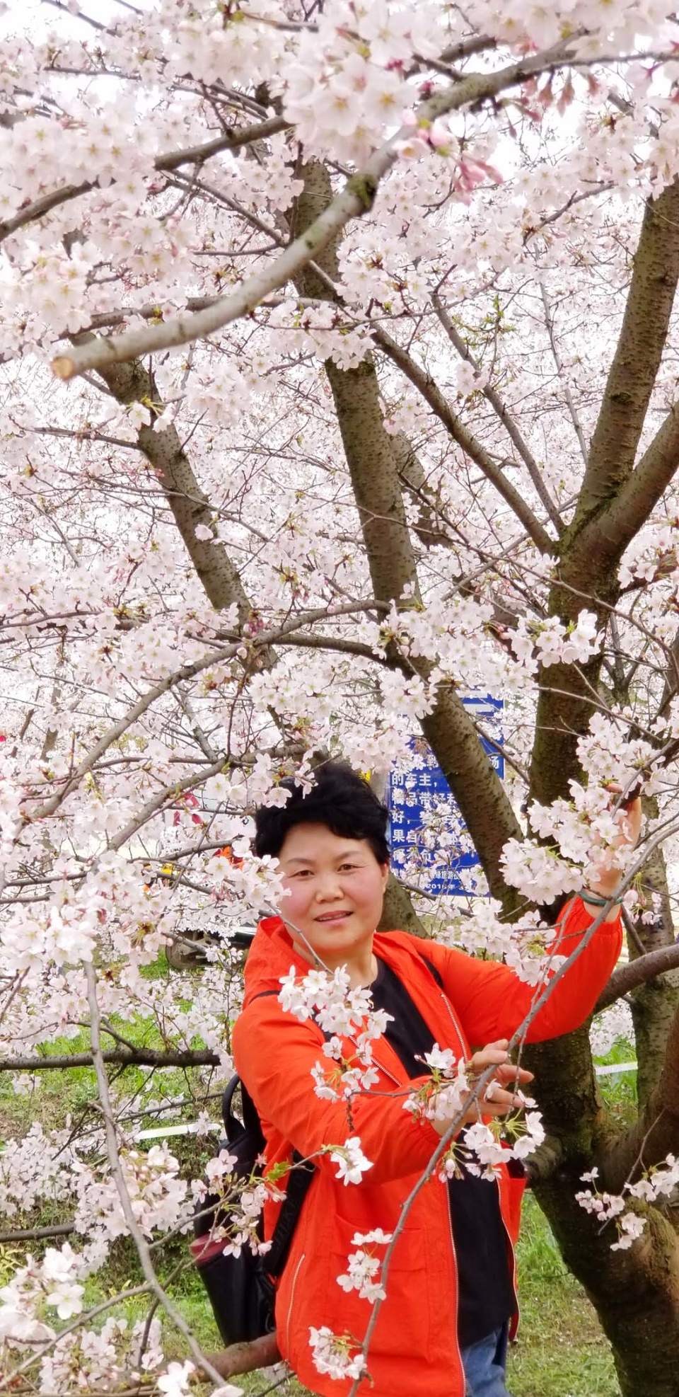 j5Wo9-Ern8r5i_YrEyW3q-VlvYel8_nUOQkHKY-qITGpaO2EOOJIpIp40Qh9ZS8l