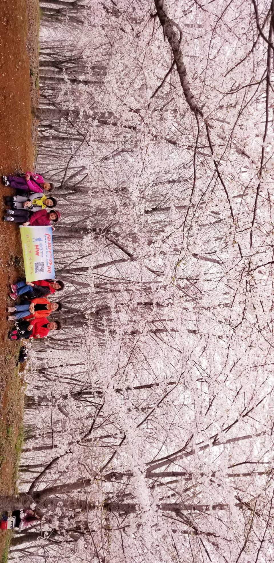 iBzhVQ0TlU86m3WUGs9w6yhebrinpHTK8fU5N-Um6_aG5Gg_wSVqrtA65egW5krs