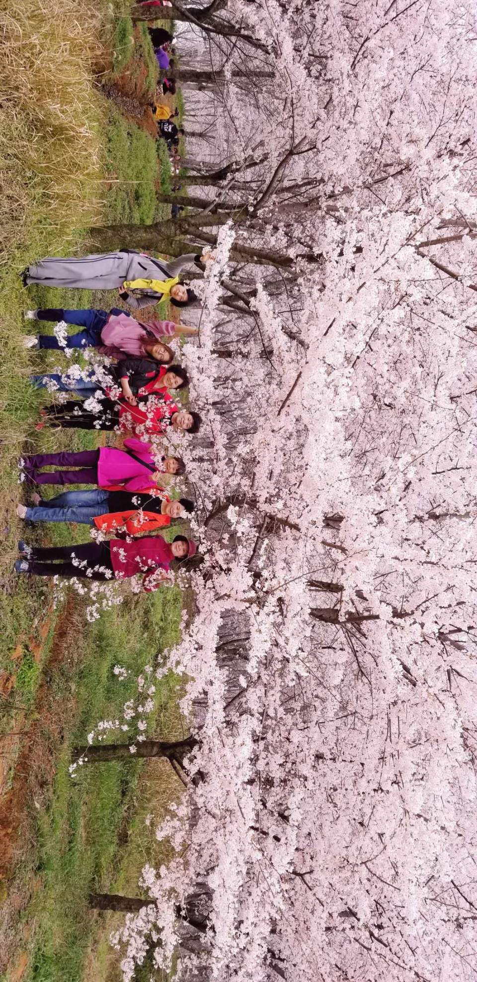 oPPUSvRU27xVMi08Mvt0WgBfBuSKlXyo4RLk0VLJBOyCq9iT0z_INmrGnLEF5_pY