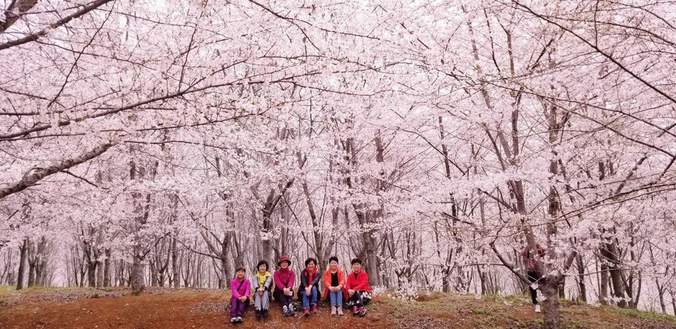 7rq-TCXJY-ruhvY_61r4B5obdvLRQmPC7PQQklWQIzD3On5M1HEai3SPPDFNnDtU