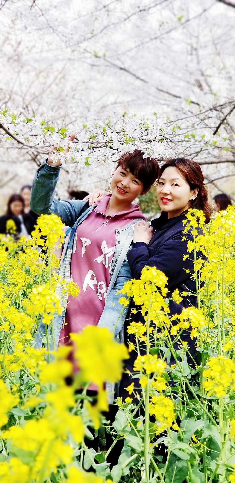 XHCz-ezNQl0aChetS5bN4N2_5ZFGKOnr-RS_n2biVdN2vBcDz1SoYnAQrqT5kGoz