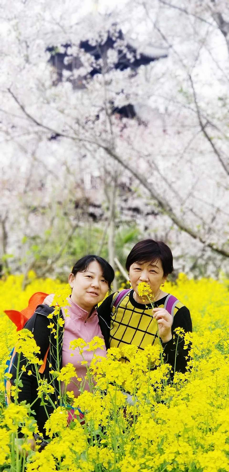 McaWZJbJvqDU7on_idEaaAgzWwIPHn6LQEL8_fO-_kcFG6NO00Cit6jxvr5pbERx