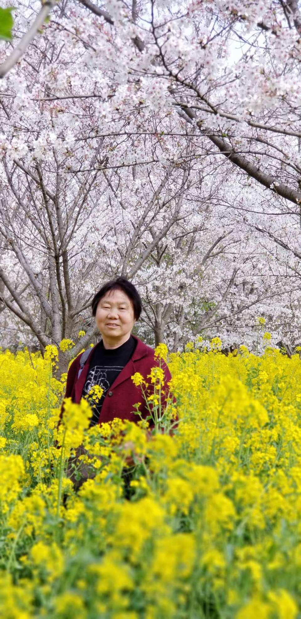 nNUll4Bt6TFy3cE2nwGf_nn-uA0TVL7HbWMPHHeZLkjv8clUBHXkpDqw9pSZpn5b