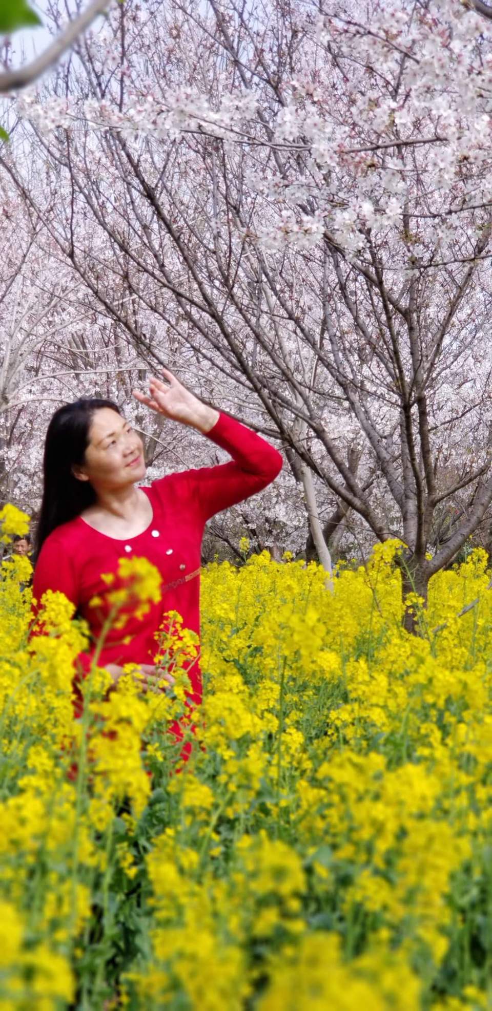 MESx2TbRiqQQvVx9xQoLHu0EhrHYoHMaONSdwgzLBXfDZCUXWV6TGXK-JspMw_1a