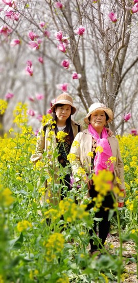 7nyllphaxrlahsR6HhSWihp1C7s8Z7w1yF_y1mPj0_LTLne6k2KKjEESevRb9z-K