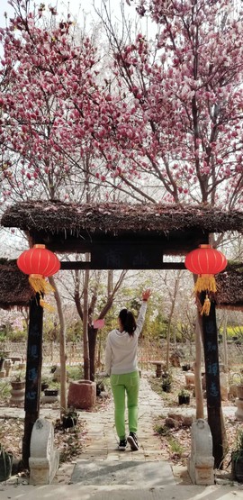 mh93dwyt5oo3r7FQZJikMkr1mMrWKeFroC6dya0-cR7YqHrGo6W_1a6TeFesl4fn