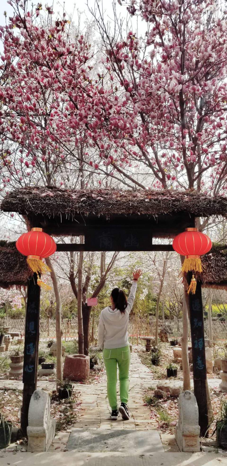 mh93dwyt5oo3r7FQZJikMkr1mMrWKeFroC6dya0-cR7YqHrGo6W_1a6TeFesl4fn