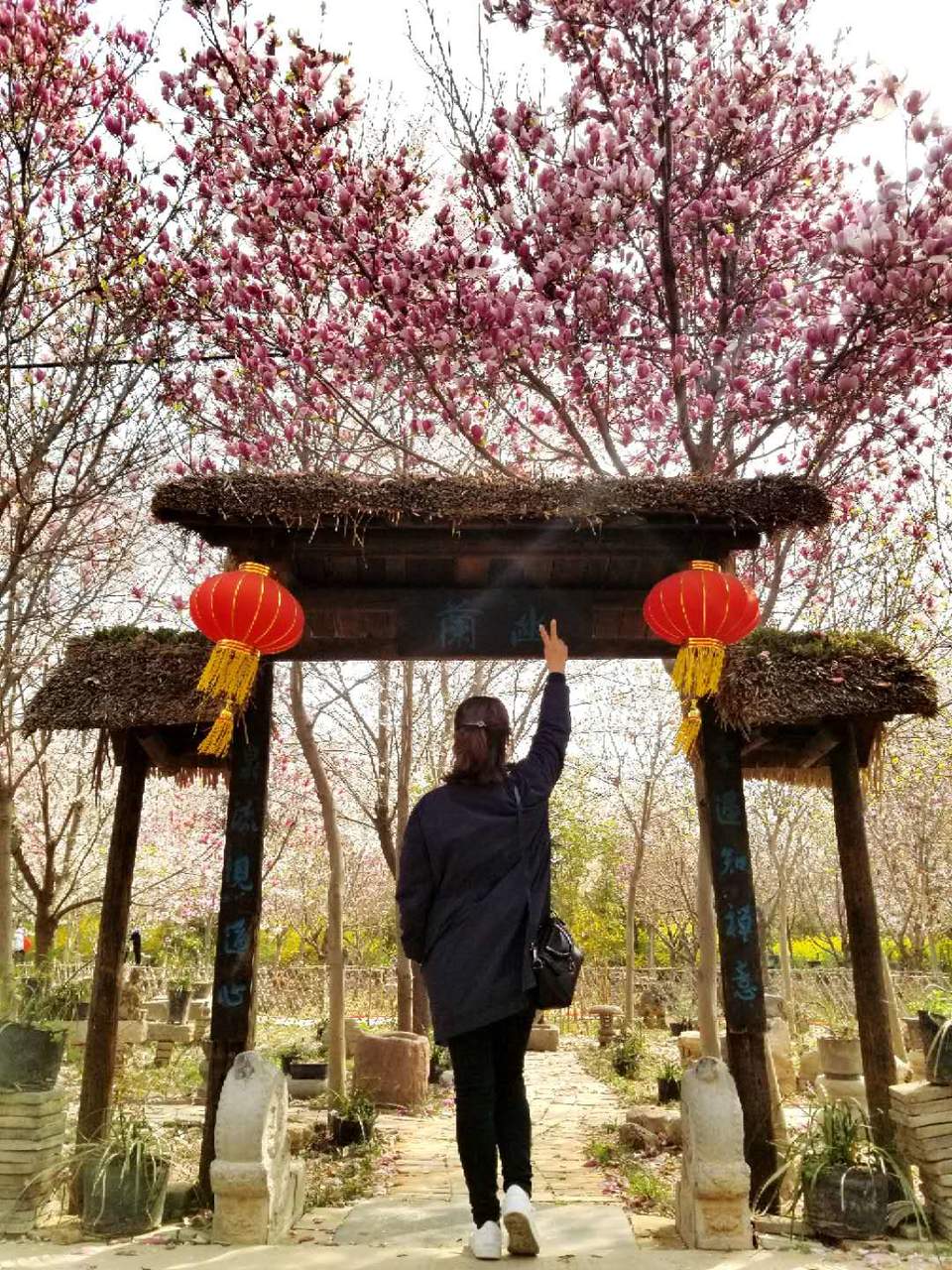 i8KywF1UhzQ0fN3_m98mLZz4lpZ3yR2u5dK6H_-NZfajxzz6wsX3gTnmlpsmQ9lL