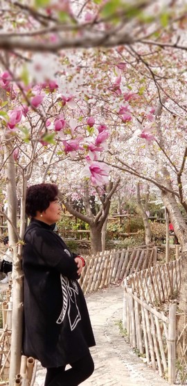 tSon1PoPQeHyC-RPnlp54vxH0VyzhA9P31U43VZ6SGxOU6a0Ta9kCTmC-na_fqQ6